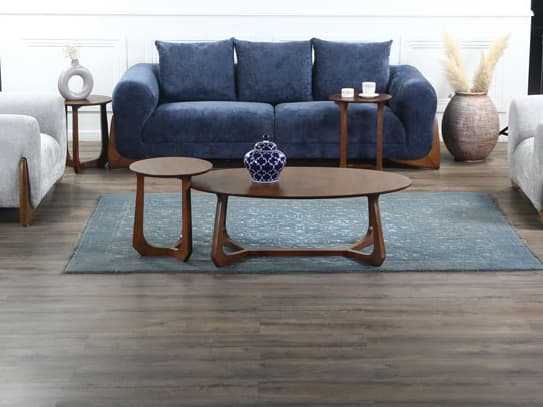مرینو در فضای داخلی